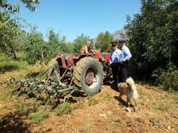 Els Mossos d’Esquadra detenen sis homes pel robatori de dos tractors al Baix Ebre i Montsià